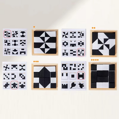 Portable 2-in-1 Brain Teaser Puzzle Game