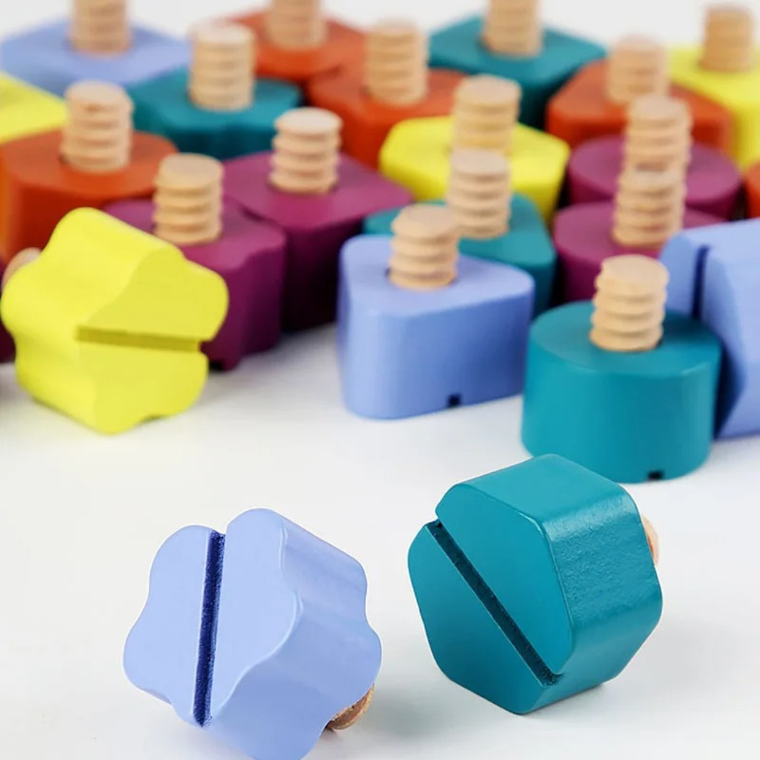 Wooden Color Sorting Educational Toy