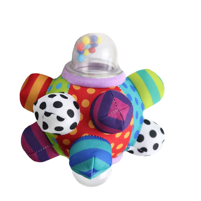 Sensory Fidget Ball Toy