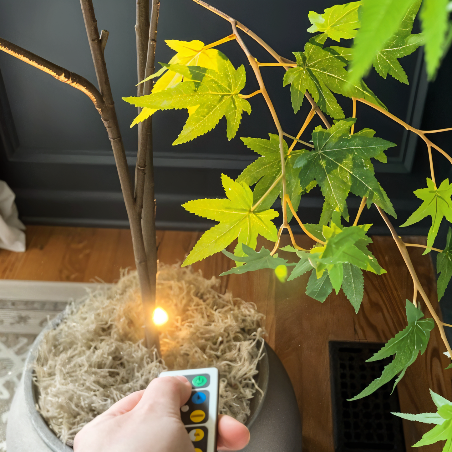 Bright Mini LED Spot Light | Cordless Home Accent Lamp - Fesara