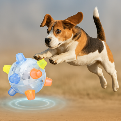 Glowing Nighttime Rubber Dog Ball - Fesara