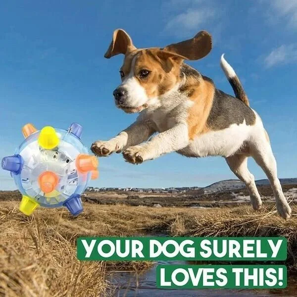Vivolux | Dog Toy LED Bouncing Interactive Ball Rubber 4
