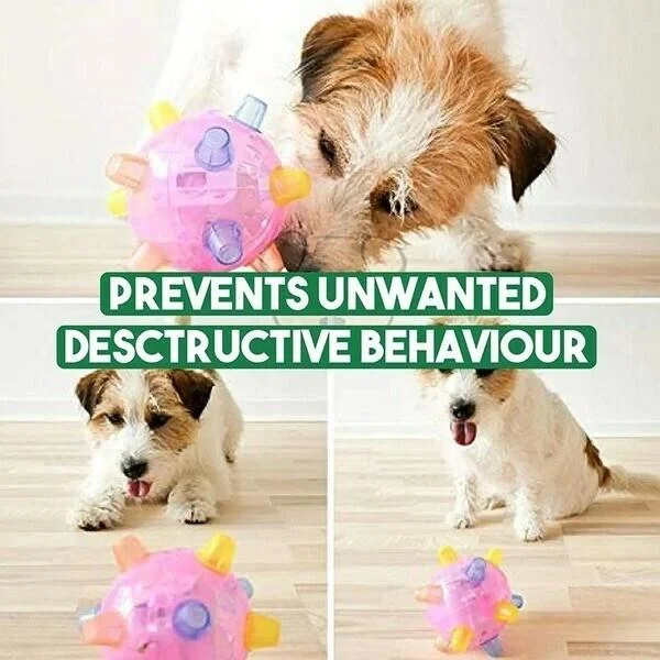 Vivolux | Dog Toy LED Bouncing Interactive Ball Rubber 7