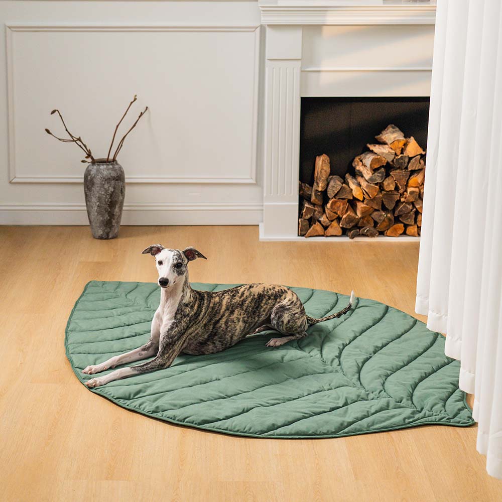 Vivolux | Dog blanket mat for large pets 10