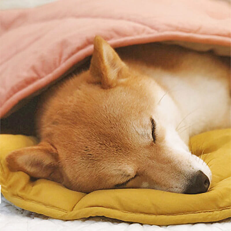 Vivolux | Dog blanket mat for large pets 5