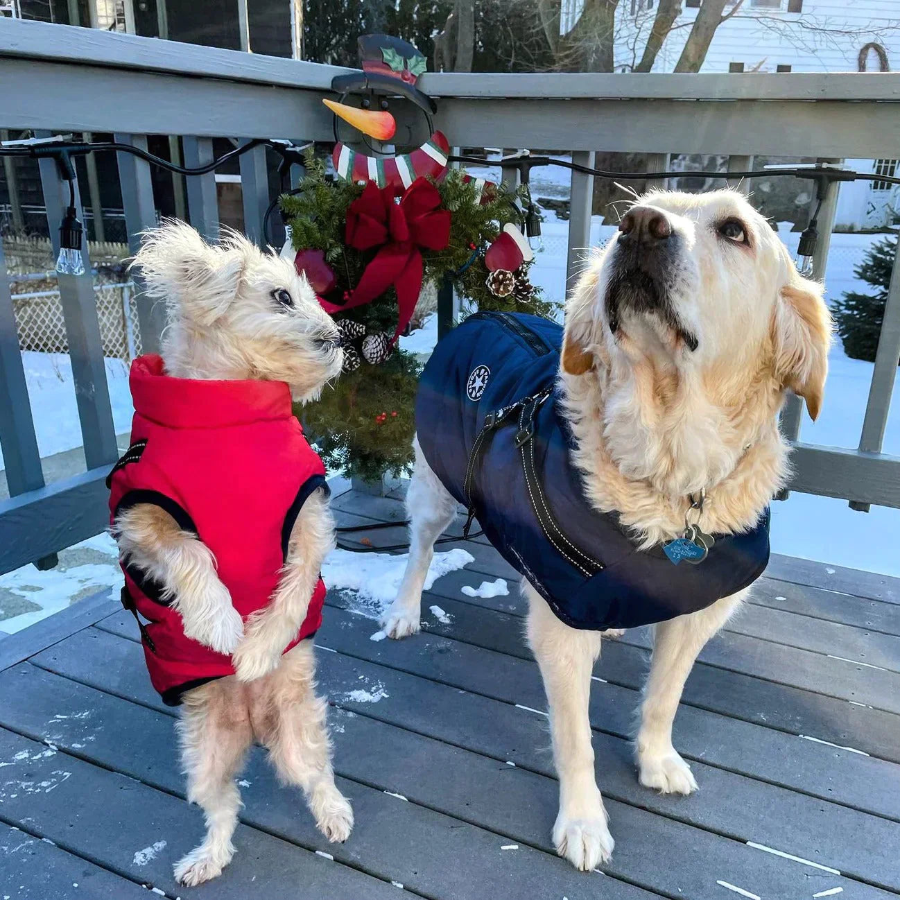 Waterproof Dog Coat with Built-in Harness – Warm, Weather-Resistant Dog Jacket for All Breeds-2