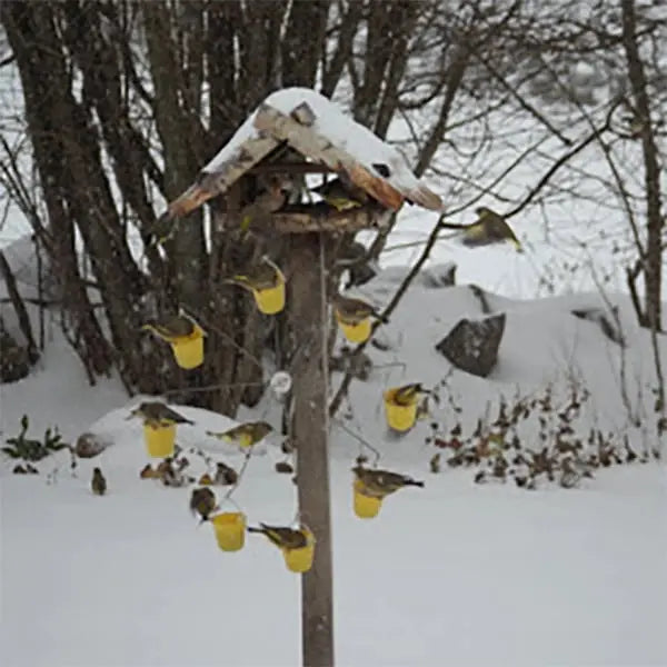 Colorful Bird Feeder Ferris Wheel Garden Station