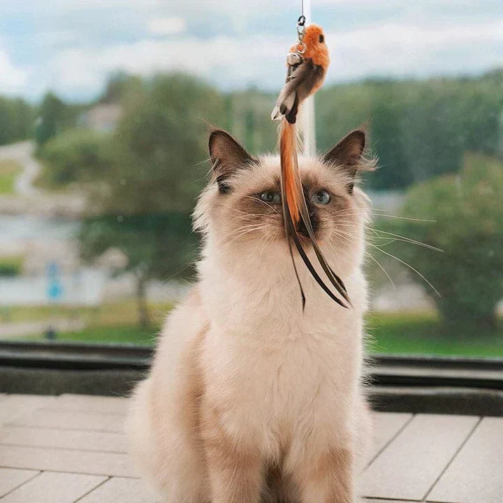 Fun Pet Toy - Interactive Feather Bird Teaser