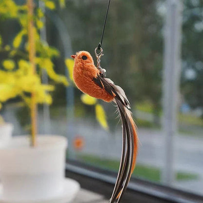 Fun Pet Toy - Interactive Feather Bird Teaser