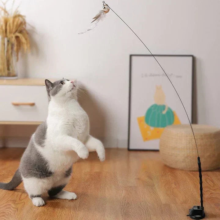 Fun Pet Toy - Interactive Feather Bird Teaser