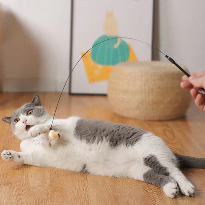Fun Pet Toy - Interactive Feather Bird Teaser
