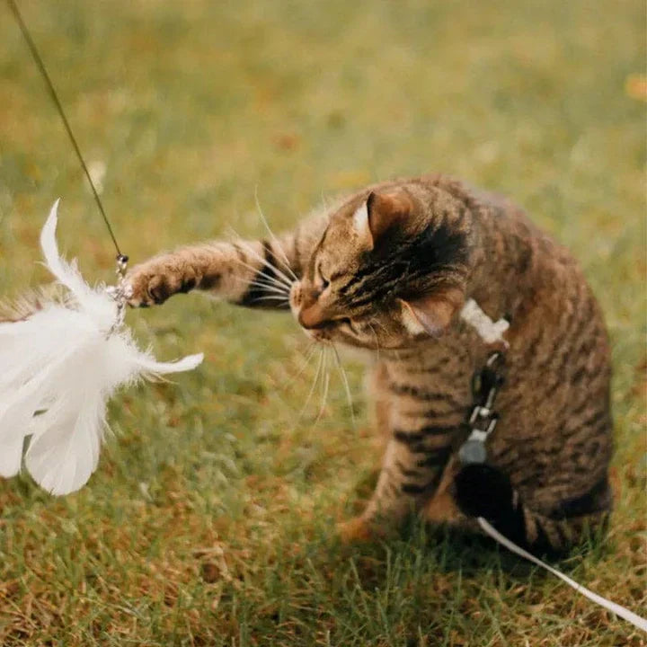 Fun Pet Toy - Interactive Feather Bird Teaser