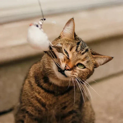 Fun Pet Toy - Interactive Feather Bird Teaser