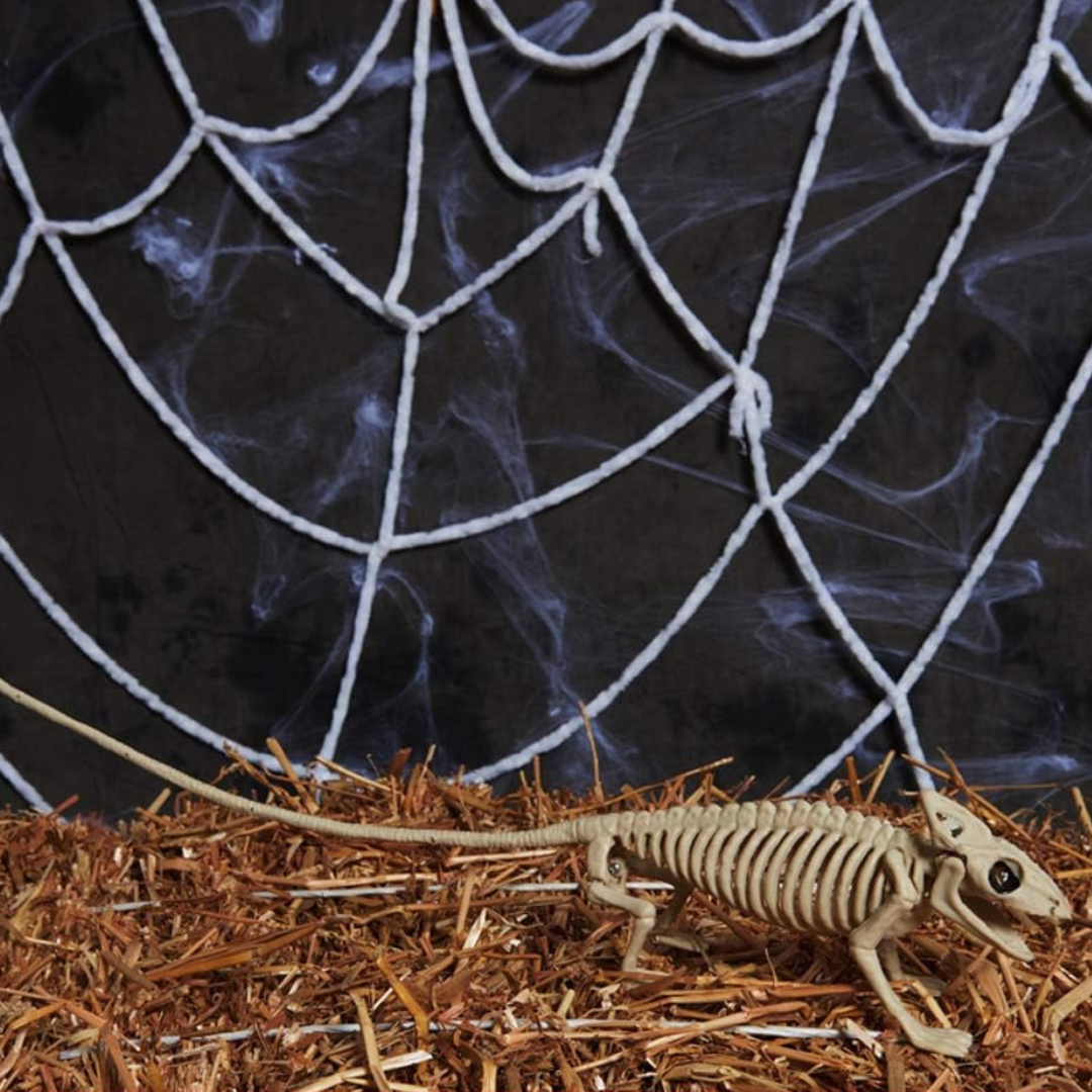 Wall Art Hanging Skeleton Bat Ornament 8