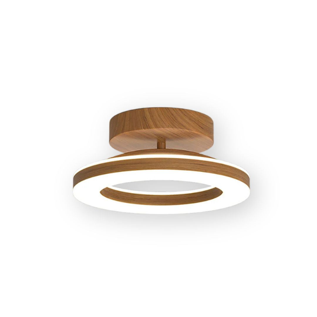 Circular LED Ceiling Light for Hallway and Entryway