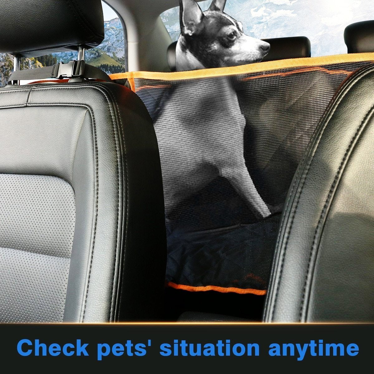 Durable Pet Car Seat Protector / Waterproof Back Seat Cover