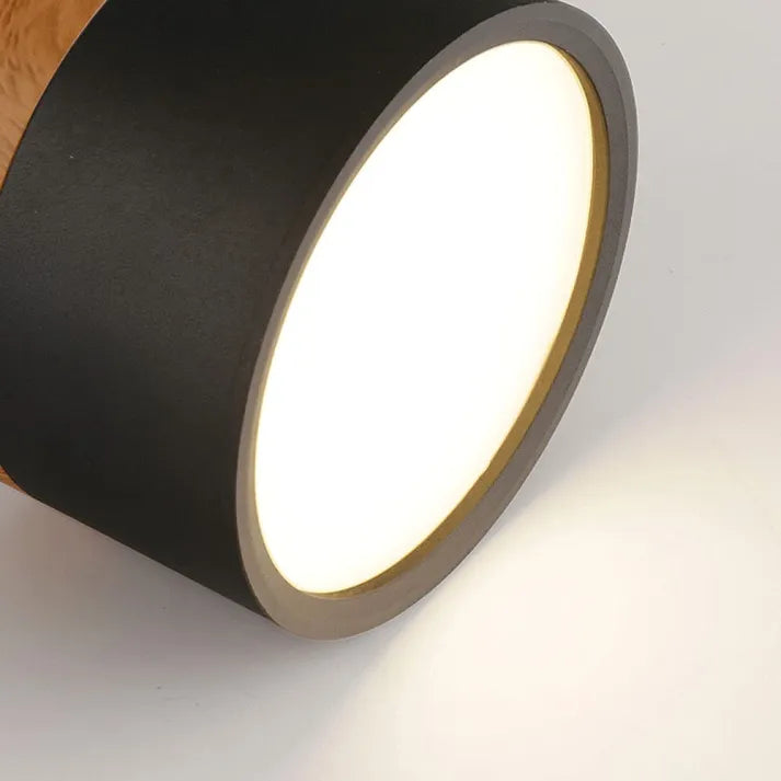 Simple Modern LED Ceiling Lamp