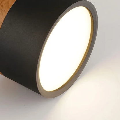 Simple Modern LED Ceiling Lamp