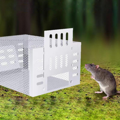 Easy Catch Humane Mouse Trap for Home Pest Control