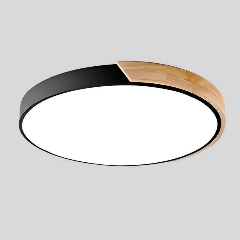 Modern Round LED Ceiling Lamp