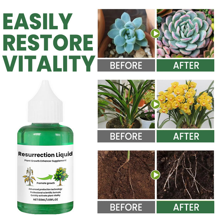 Natural Plant Revival Spray