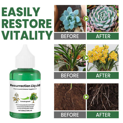 Natural Plant Revival Spray