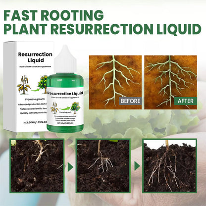 Natural Plant Revival Spray