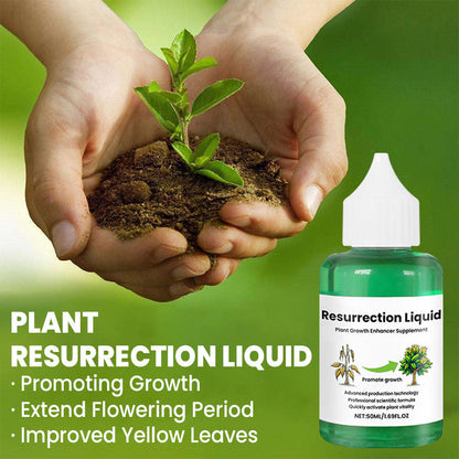 Natural Plant Revival Spray
