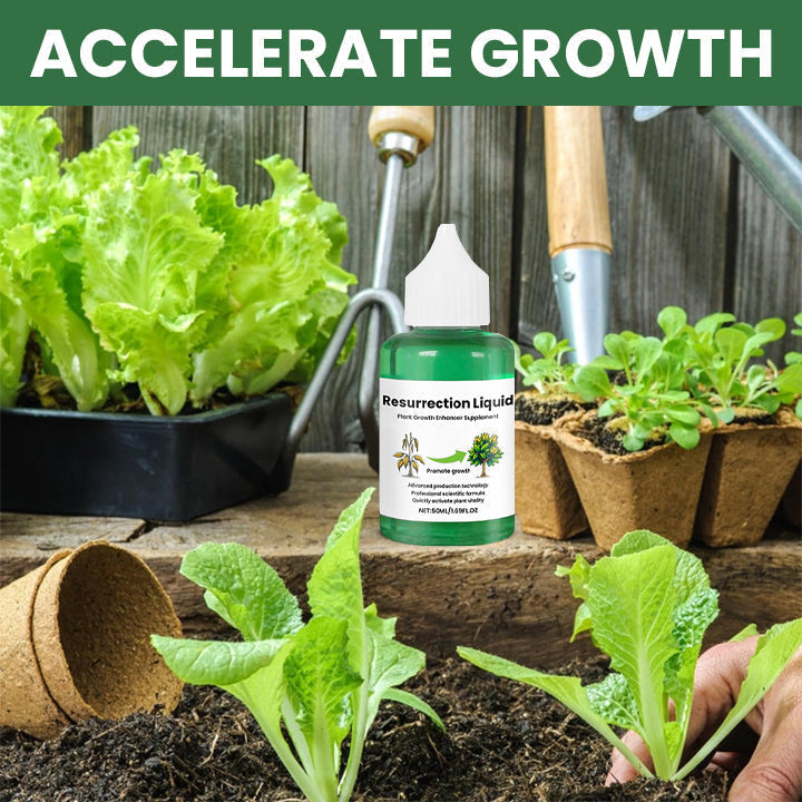 Natural Plant Revival Spray