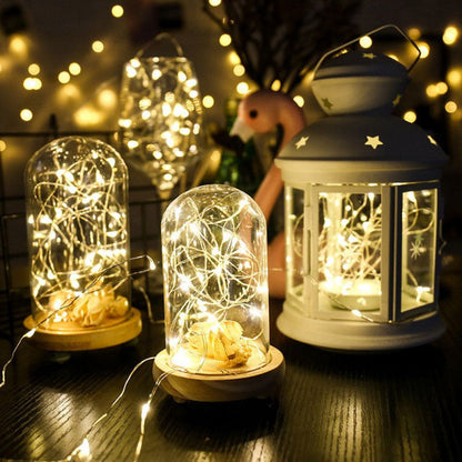 Outdoor Solar Powered Fairy String Lights