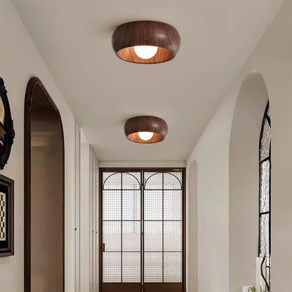 Simple Elegant Overhead Light Fixture