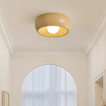 Simple Elegant Overhead Light Fixture