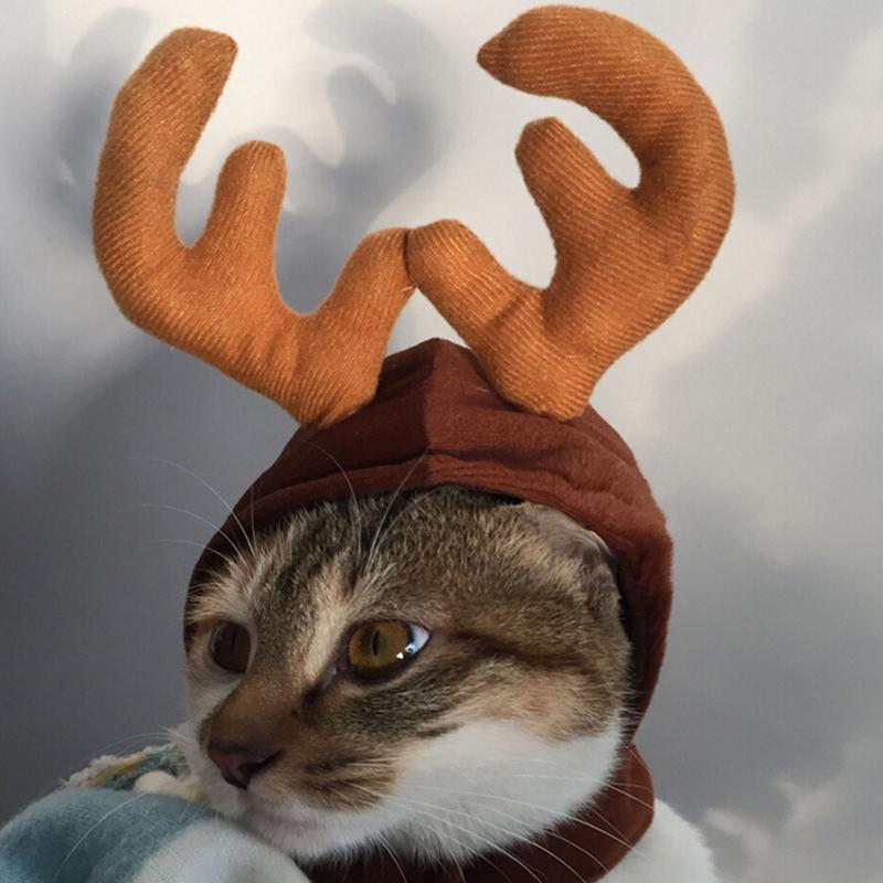 Fun Holiday Pet Costumes