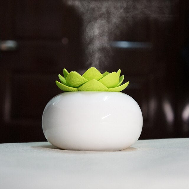 Cool Mist Humidifier for Home Relaxation