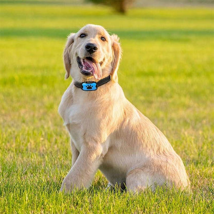 Effective Stop Barking Dog Collar