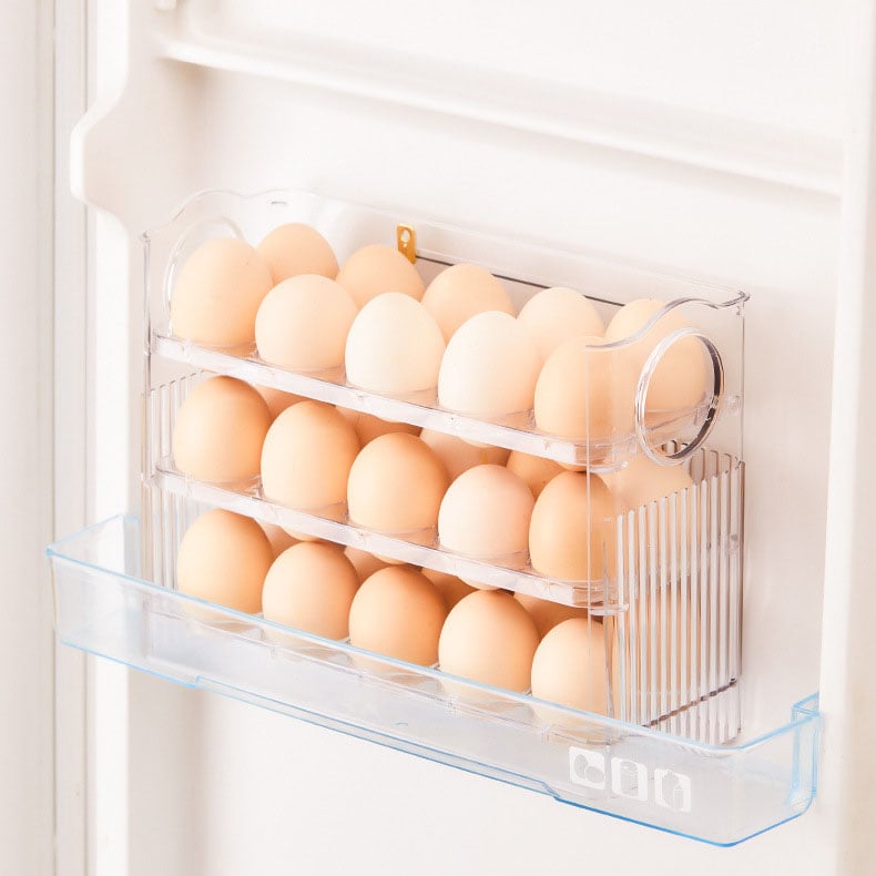 Egg Guard Storage Container