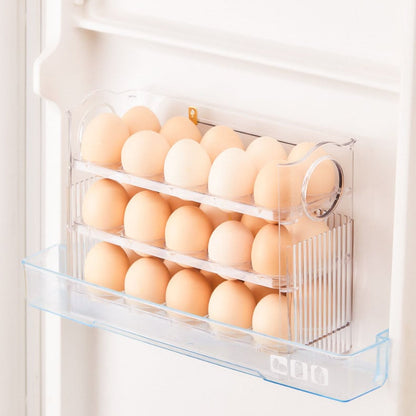 Egg Guard Storage Container