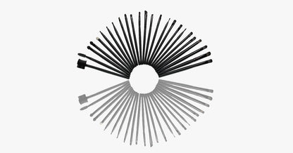 Professional 32 Piece Makeup Brush Kit with Case