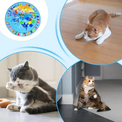 Fun Cat Interactive Toy