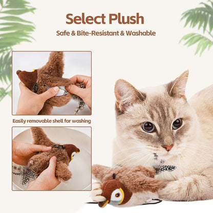 Fun Interactive Cat Toy