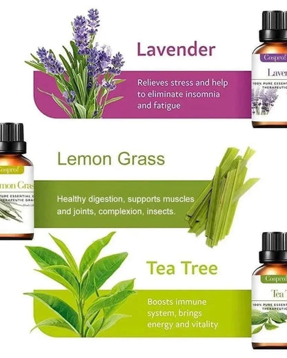 Natural Aromatherapy Essential Oil Starter Kit Set