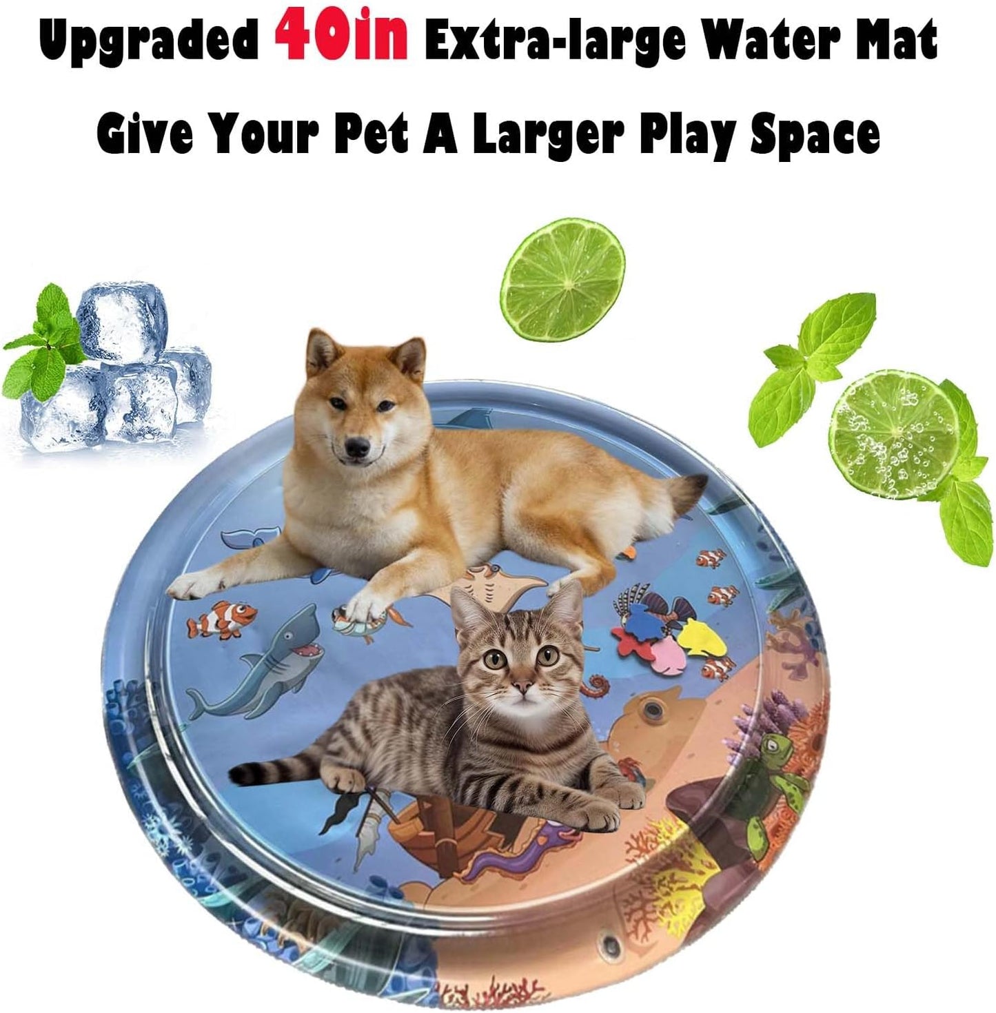 Fun Interactive Cat Toy - Fesara
