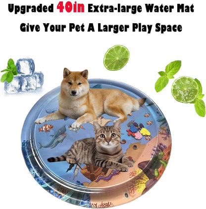 Fun Interactive Cat Toy - Fesara