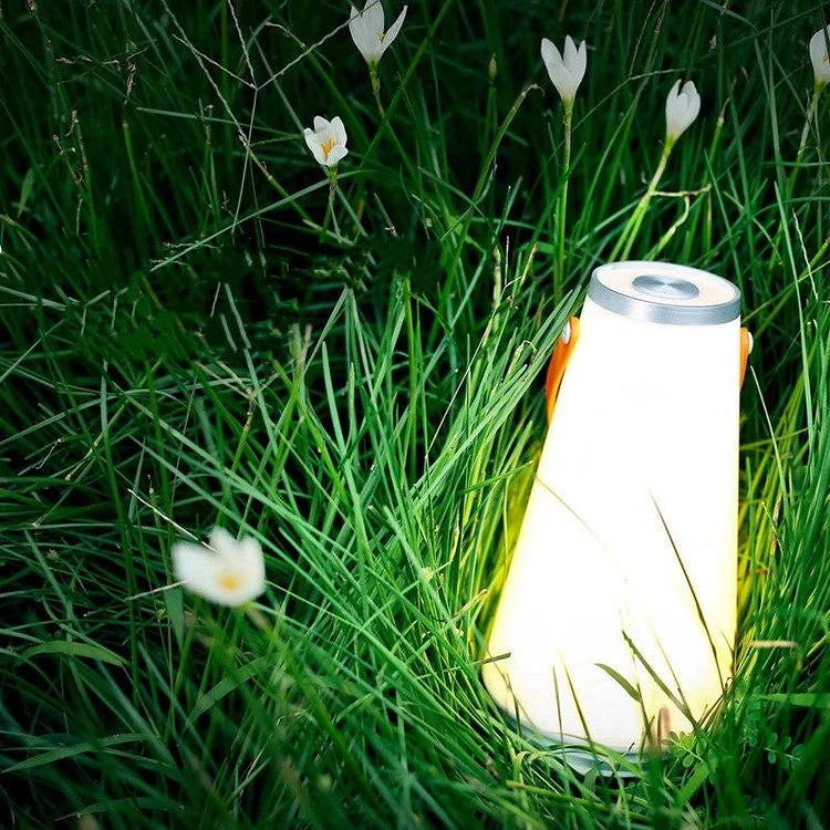 Portable Rechargeable Camping Lantern