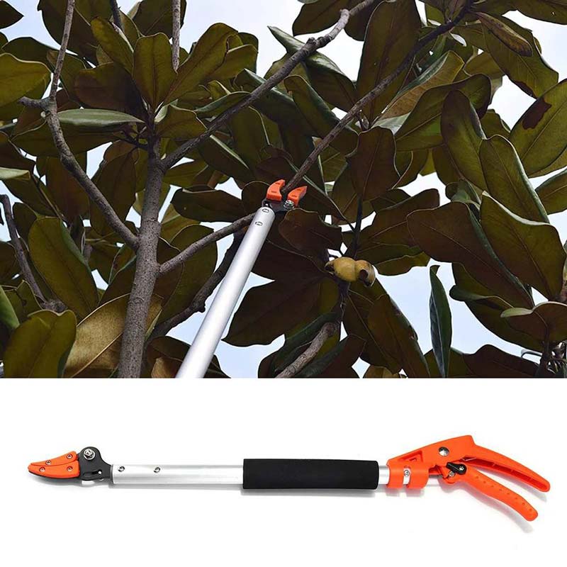 EasyCut Hedge Trimmer for Tall Hedges - Fesara