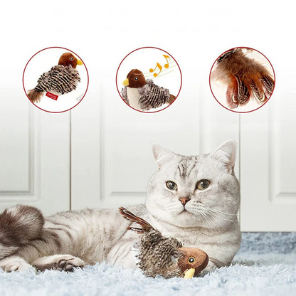 Fun Interactive Cat Toy