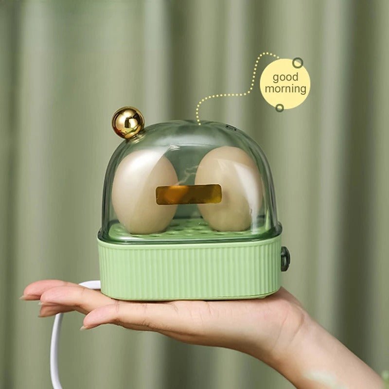 Easy Electric Egg Boiler for 2-6 Eggs Fast Cooking