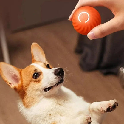 Fun Interactive Dog Ball Launcher