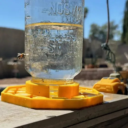 Natural Bee Friendly Garden Habitat