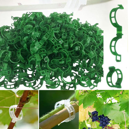 Easy Use Tomato Plant Clips